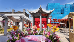 国度级经济示范区临空经济区平度片区