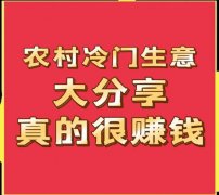 找到适合业模式对于实现财政方针至关主要